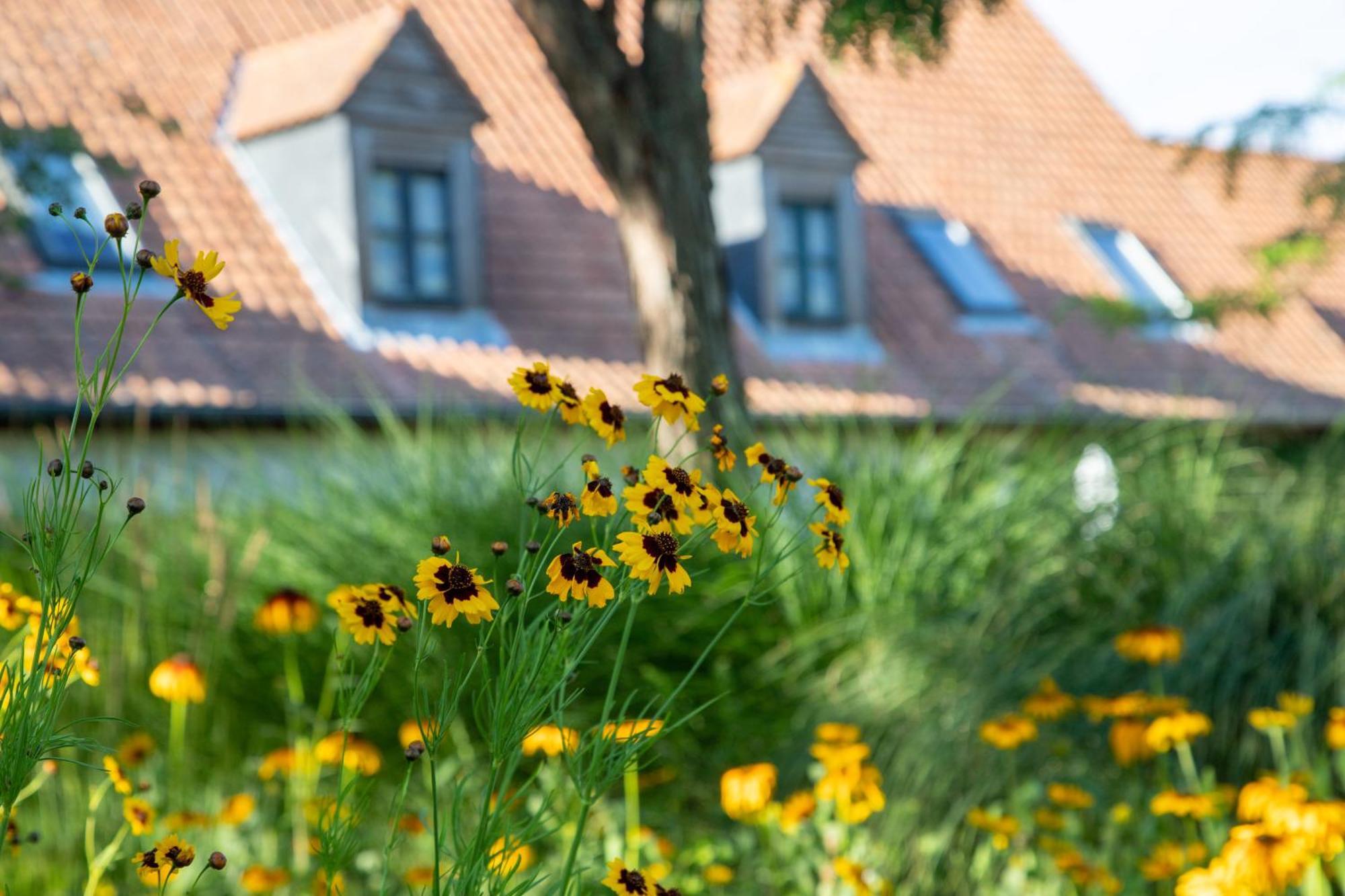 Hotel Le Cap Hornu Saint-Valery-sur-Somme Exterior foto